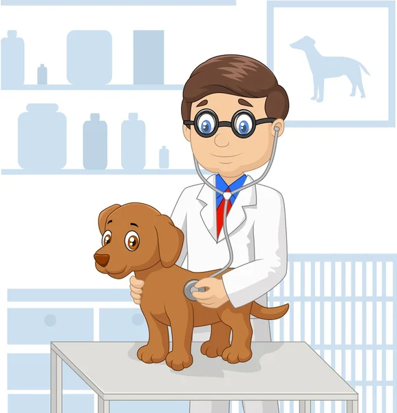 Dr. Kamalpreet Singh Mangat, DVM, veterinary surgeon at South Delta Animal Hospital